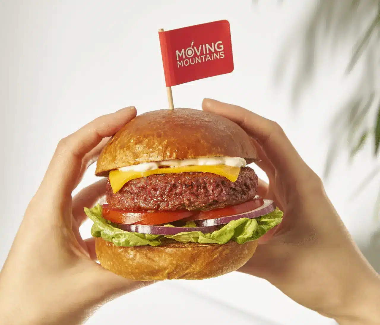 Moving Mountains Burger