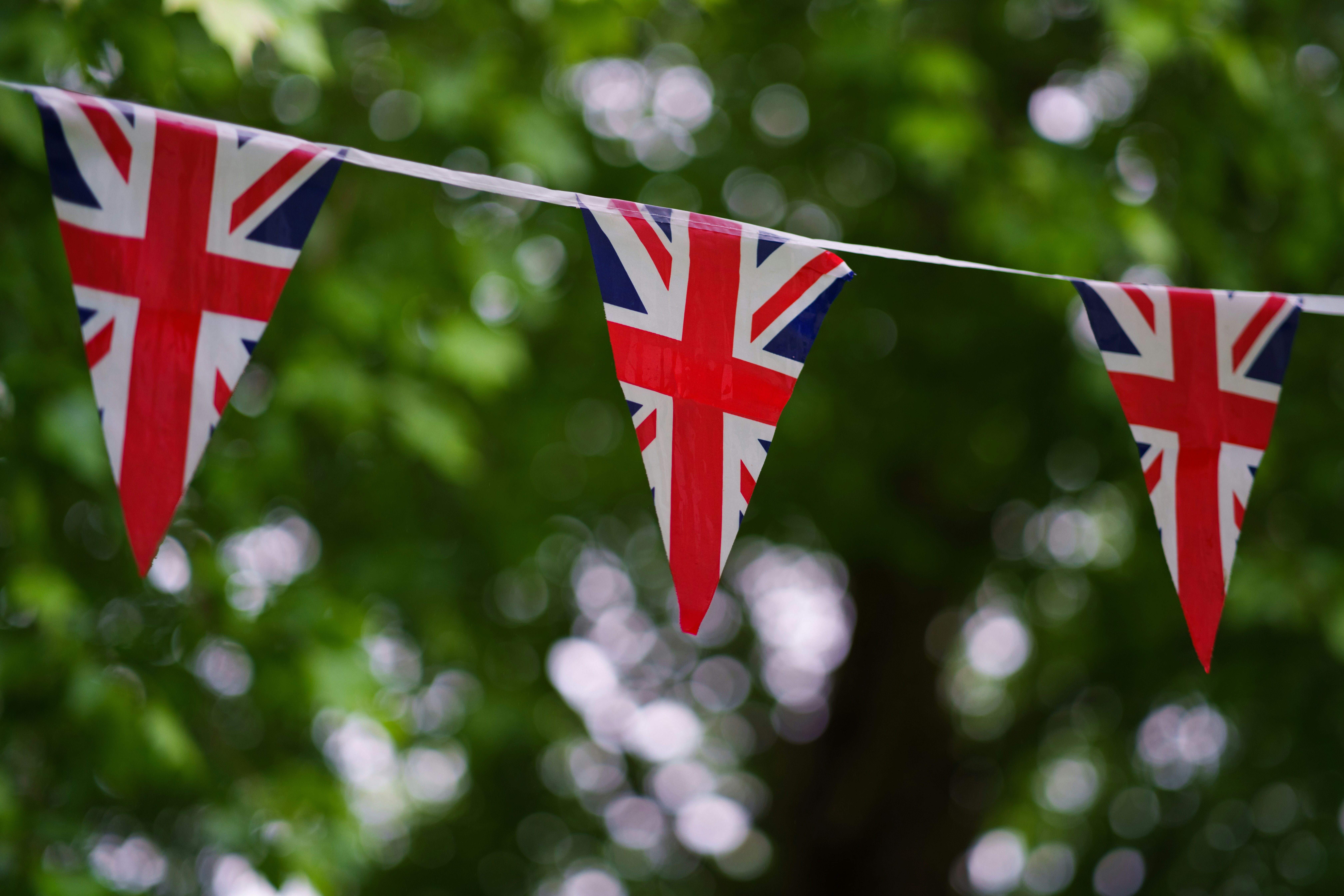 bunting